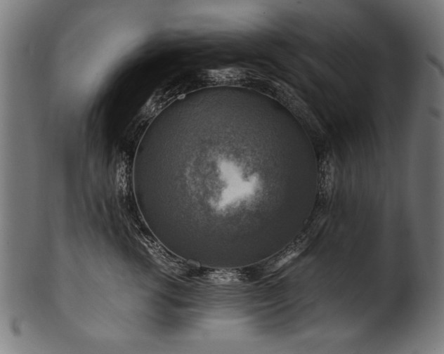 X0000100950762200806241503