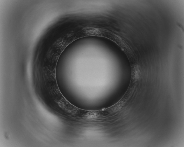 X0000100950764200806241503