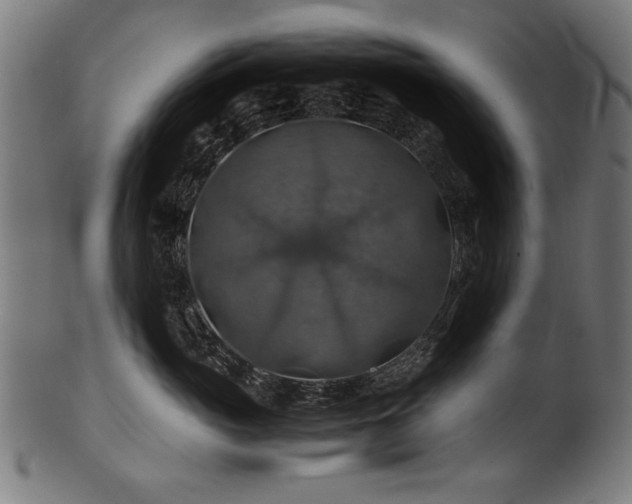 X0000100950765200806241503