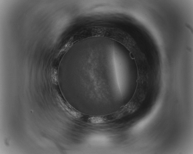 X0000100950766200806241503