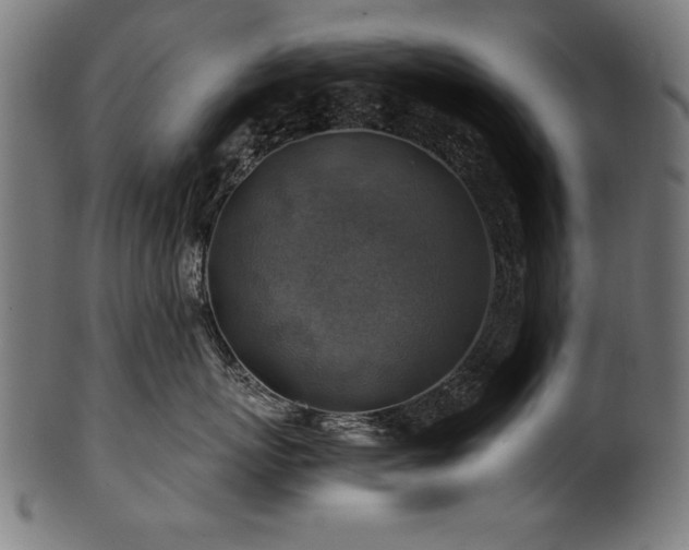 X0000100950767200806241503