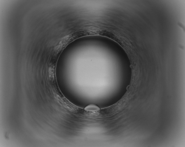 X0000100950768200806241503