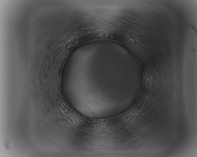 X0000100950769200806241502