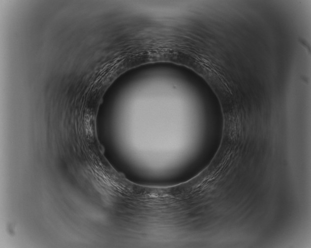 X0000100950770200806241502
