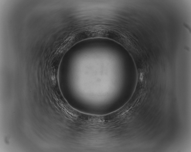 X0000100950771200806241502