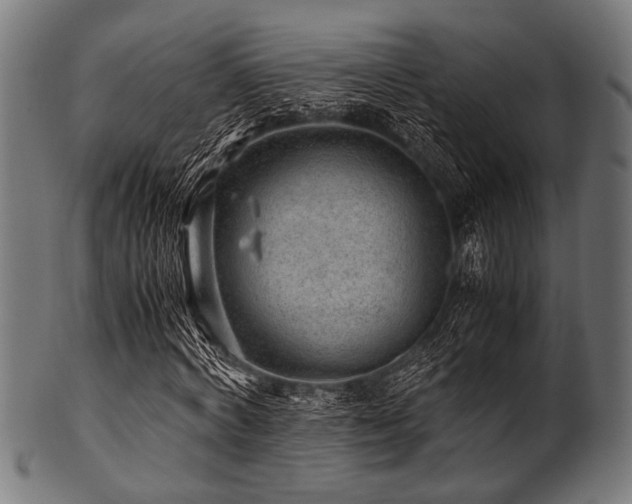 X0000100950772200806241502