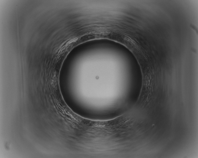 X0000100950773200806241502