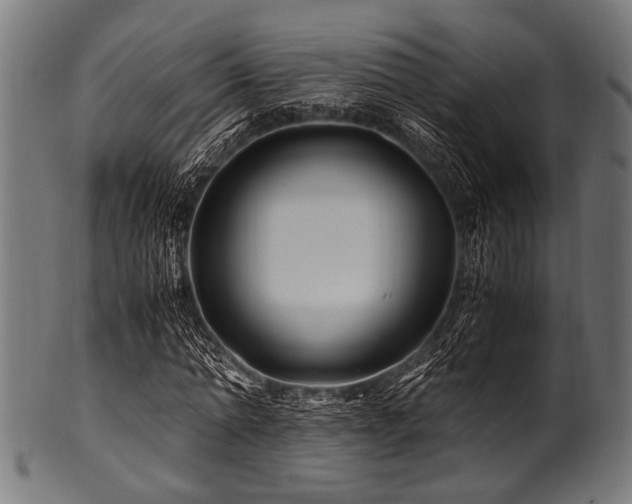 X0000100950774200806241502