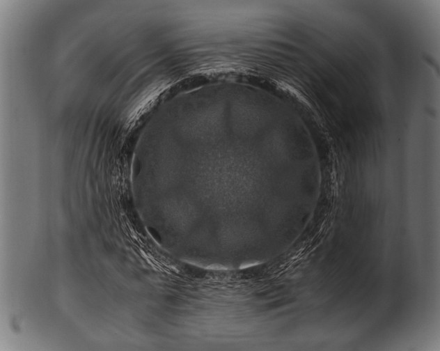X0000100950775200806241502