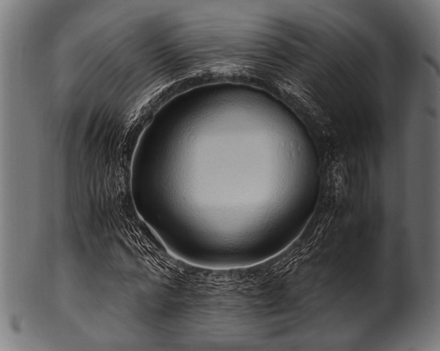 X0000100950776200806241502