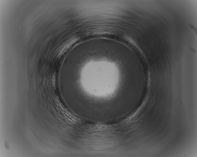X0000100950777200806241502