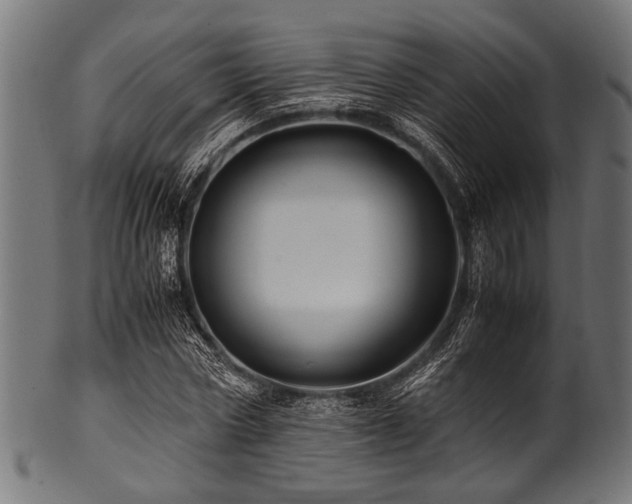 X0000100950778200806241502