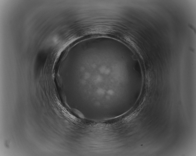X0000100950779200806241502