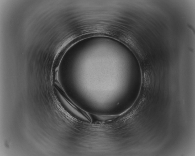 X0000100950780200806241502