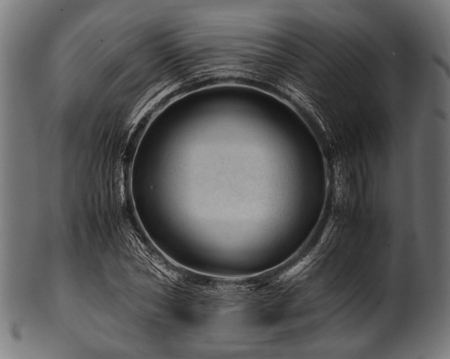 X0000100950782200806241502