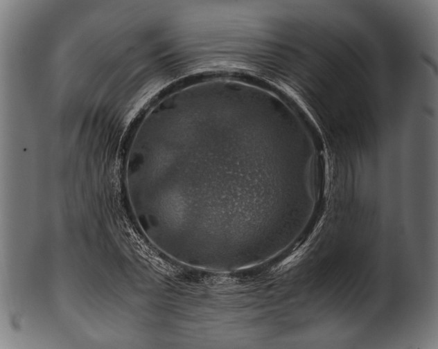 X0000100950783200806241502