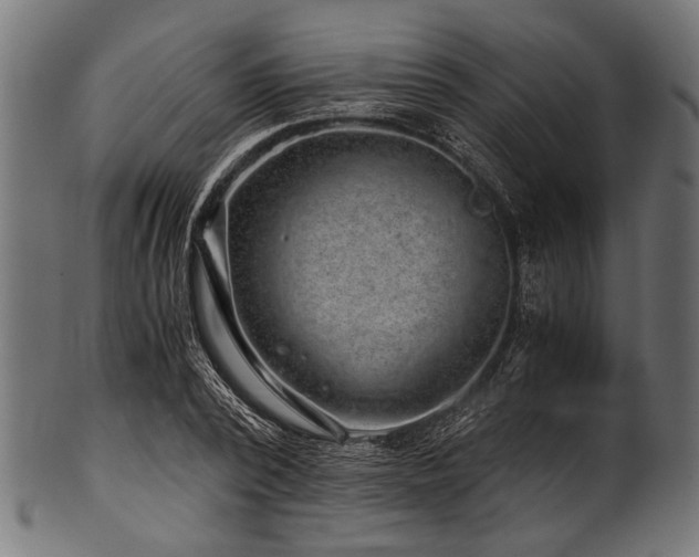 X0000100950784200806241502