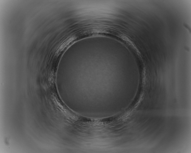 X0000100950785200806241502
