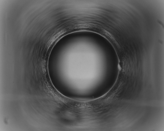 X0000100950786200806241502