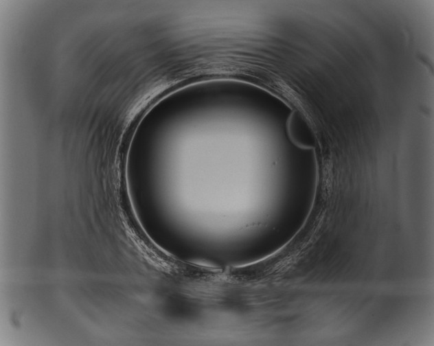 X0000100950787200806241502