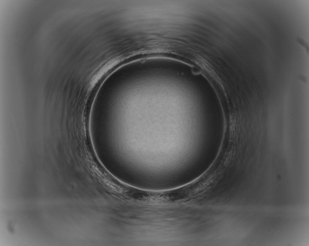 X0000100950789200806241502