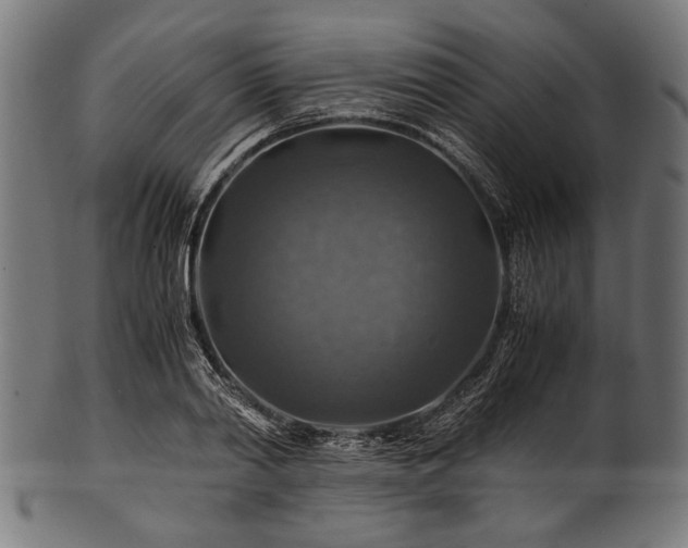 X0000100950790200806241502