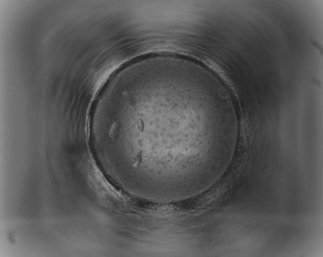X0000100950791200806241502