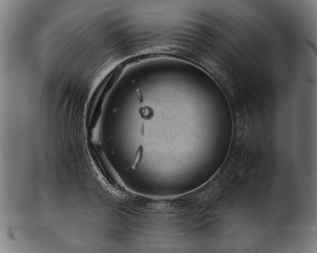 X0000100950792200806241502