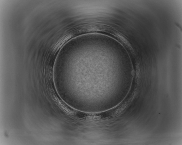 X0000100950793200806241502
