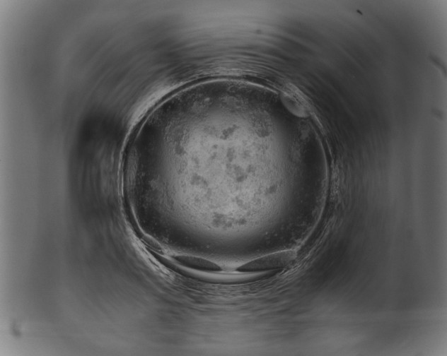 X0000100950795200806241502