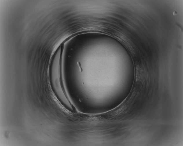 X0000100950796200806241502