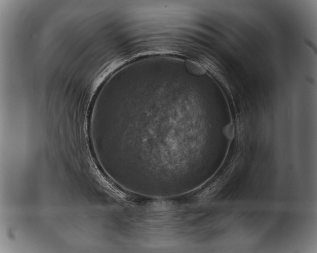 X0000100950797200806241502