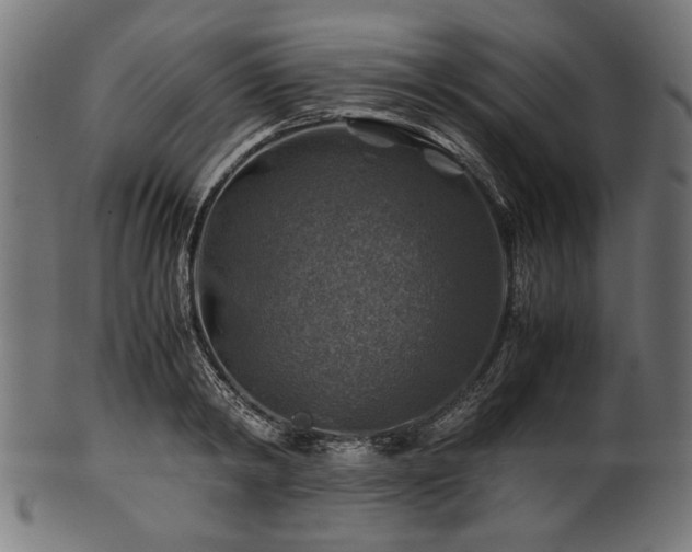 X0000100950798200806241502