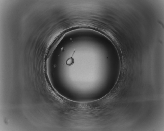 X0000100950799200806241502