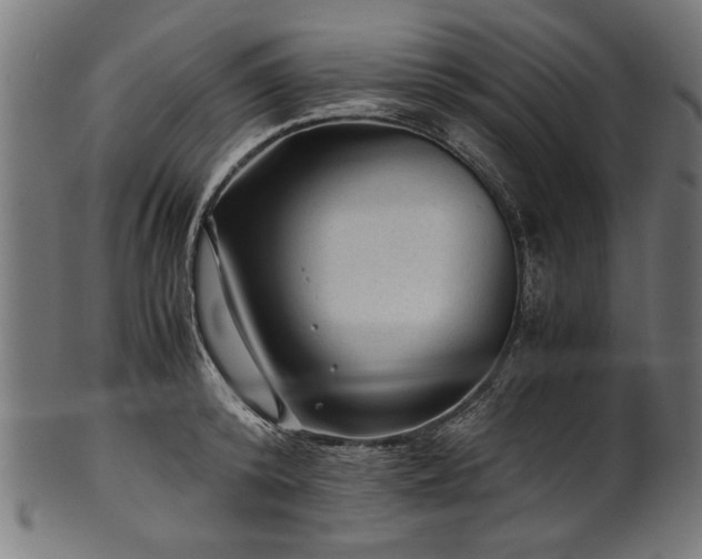 X0000100950800200806241502