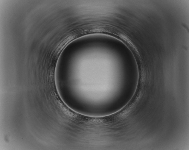 X0000100950801200806241502