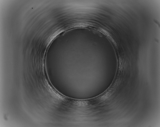X0000100950802200806241502