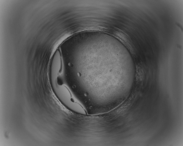 X0000100950804200806241502
