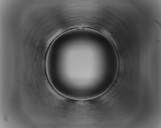 X0000100950805200806241502