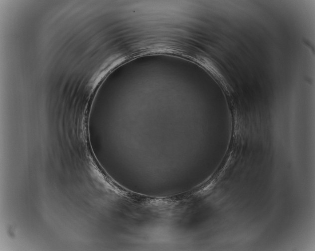X0000100950806200806241502