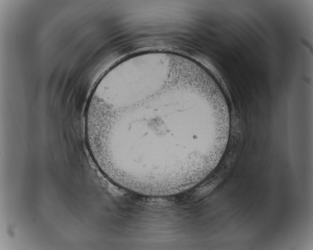 X0000100950807200806241502
