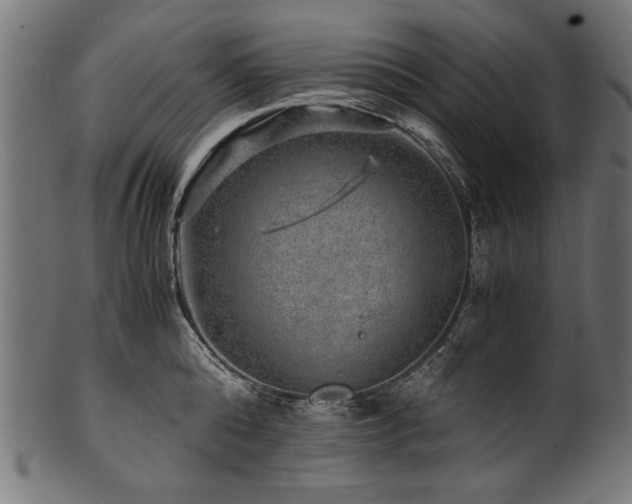 X0000100950808200806241502