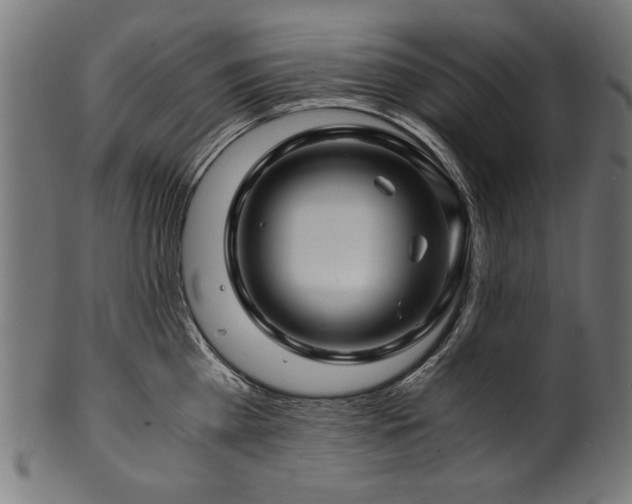 X0000100950809200806241502