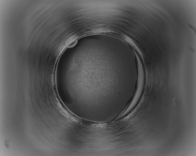 X0000100950810200806241502