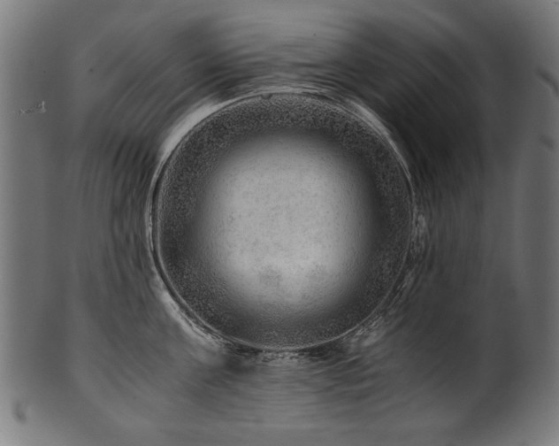X0000100950811200806241502