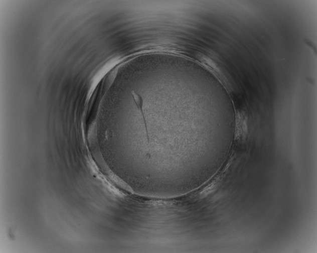 X0000100950812200806241502