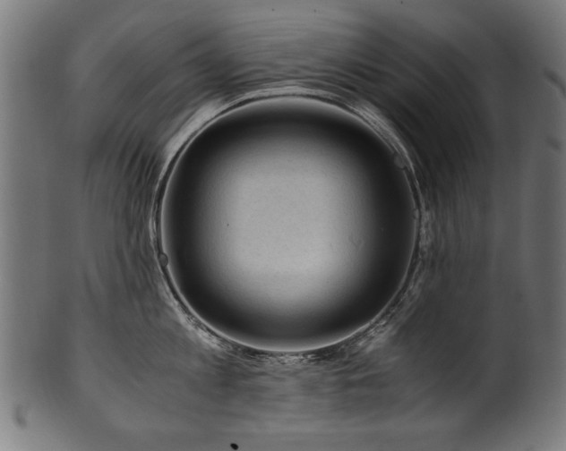 X0000100950813200806241502
