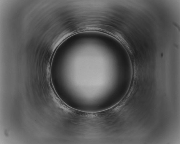 X0000100950814200806241502