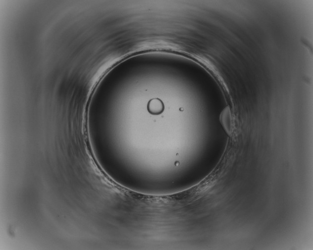 X0000100950815200806241502