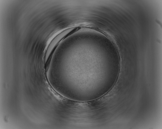 X0000100950816200806241502